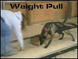 Weight Pull