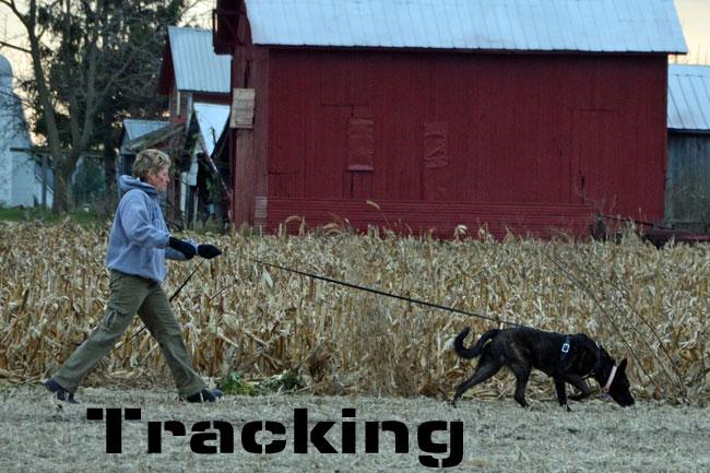 Tracking