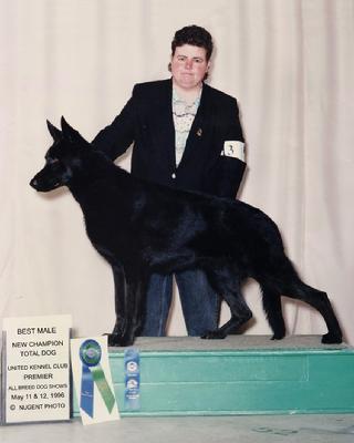 New Champion German Shepherd Zodiac 1996.