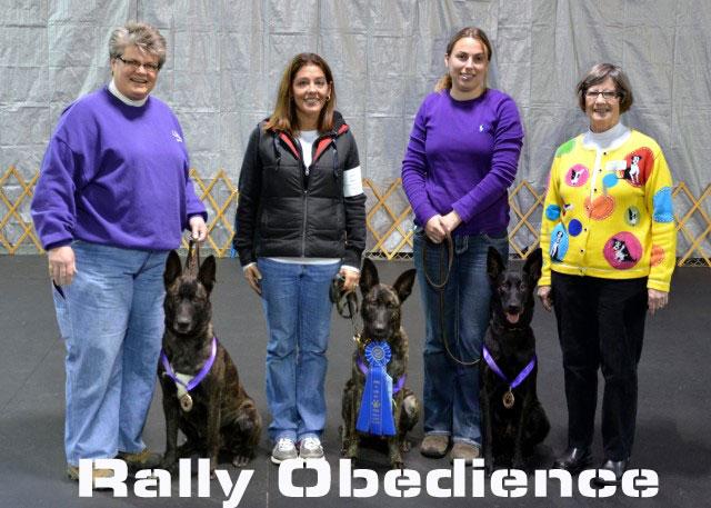 Rally Obedience