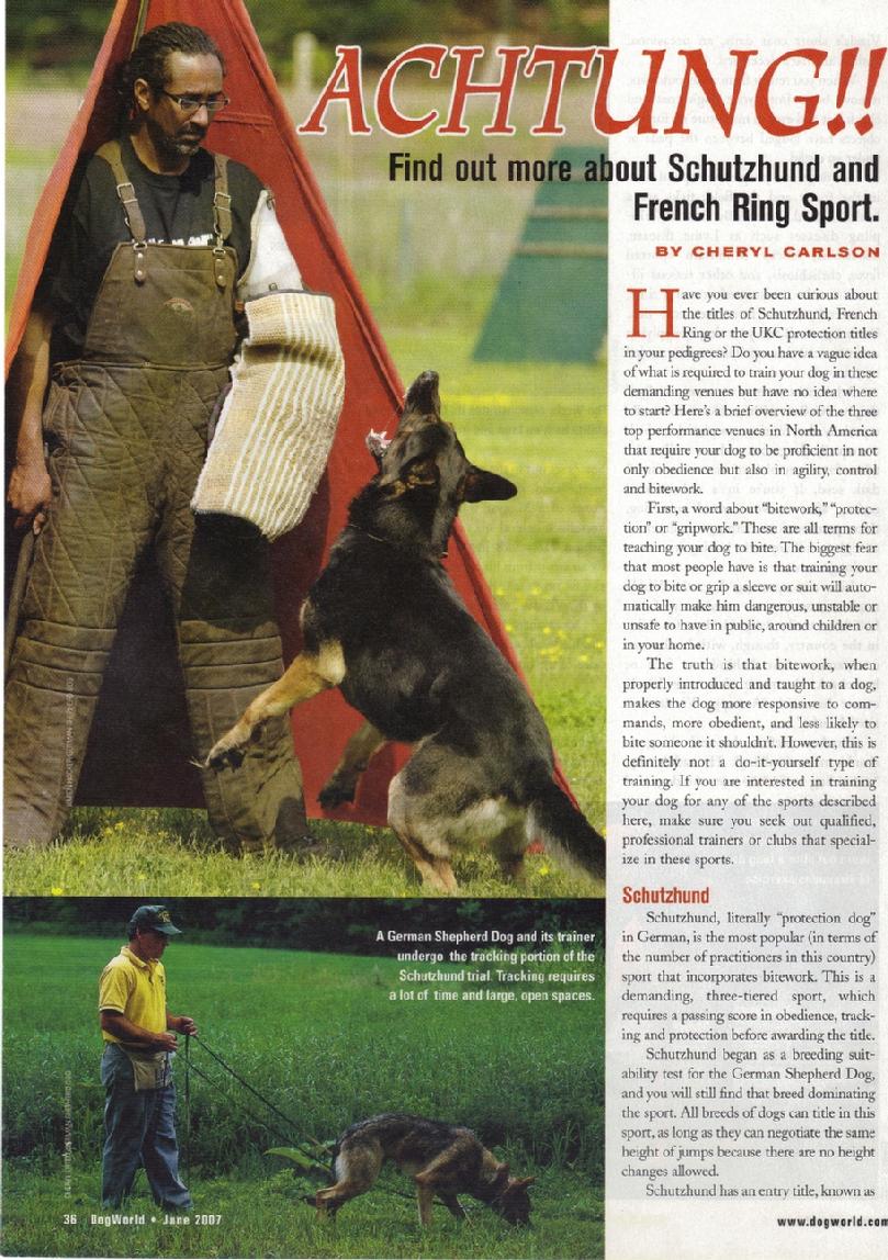 Article on dog sports