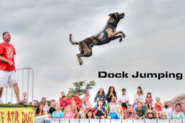 Dock Jumping