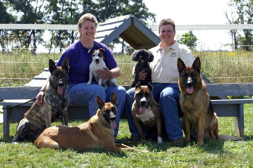 Dutch Shepherd, Belgian Malinois, Parson Russell Terrier, Poodle, Pit Bull, German Shepherd.